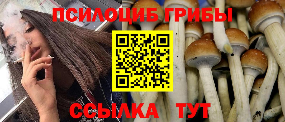 Курчатов  Галлюциногенные грибы Magic Shrooms  Галлюциногенные грибы MAGIC MUSHROOMS  Вход с VPN 